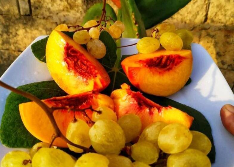 شقة غرفة واحدة مطلة على الحديقة, Masseria Le Dimore