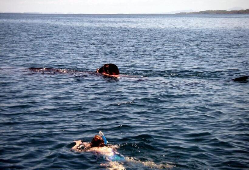 اتاق خانوادگی, Cabinas Jimenez