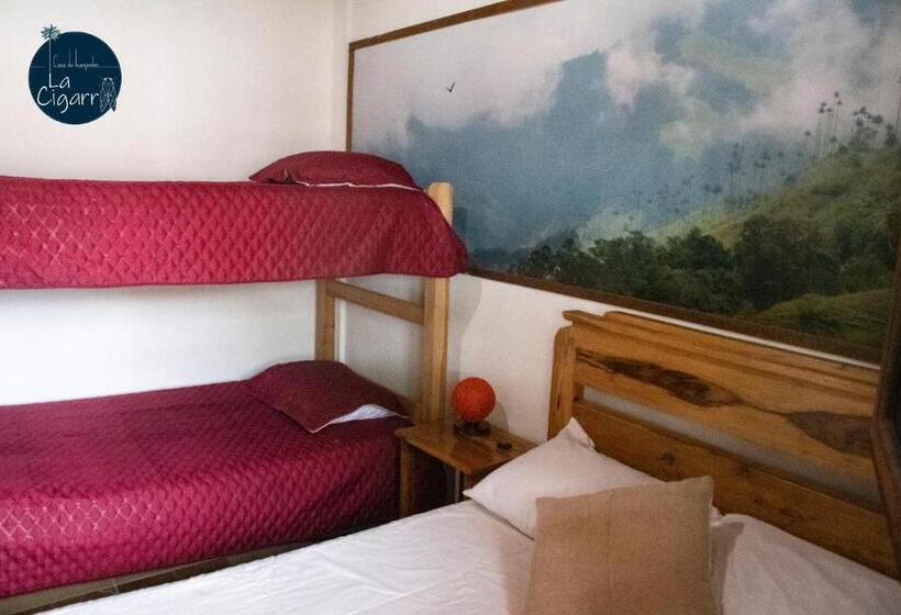 スタンダードルーム, La Cigarra Casa De Huéspedes