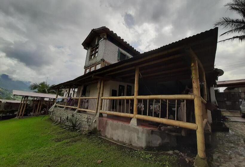 エコノミー４人部屋, La Cigarra Casa De Huéspedes