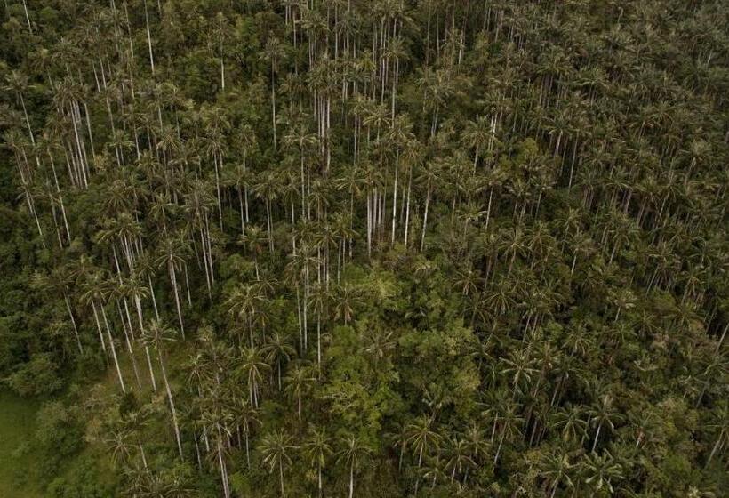 エコノミー４人部屋, La Cigarra Casa De Huéspedes