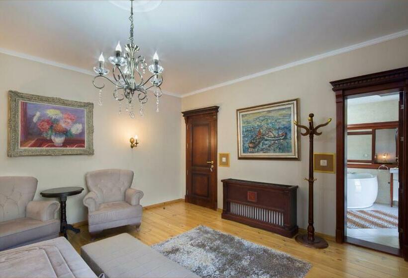 اتاق استاندارد با تخت بزرگ, Palazzo Banicevic Luxury Rooms