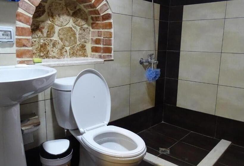 Апартаменты Премиум 1 Спальня, Villa Lions