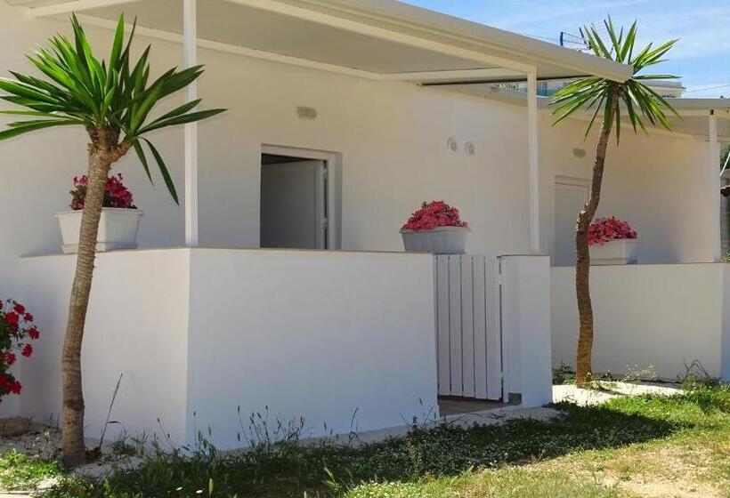 استودیوی لوکس, Villa Lions