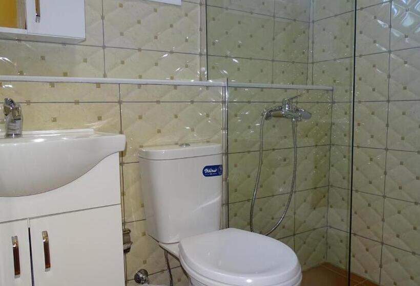 Студия Deluxe, Villa Lions