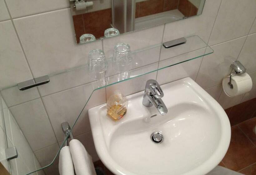 Номер Стандарт, Pension Lipicer