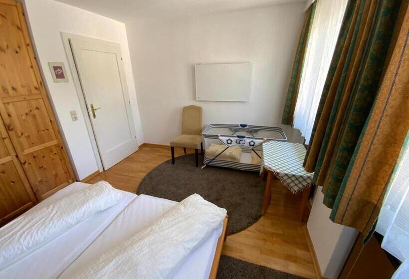 Апартаменты 3 Спальни, Pension Lipicer