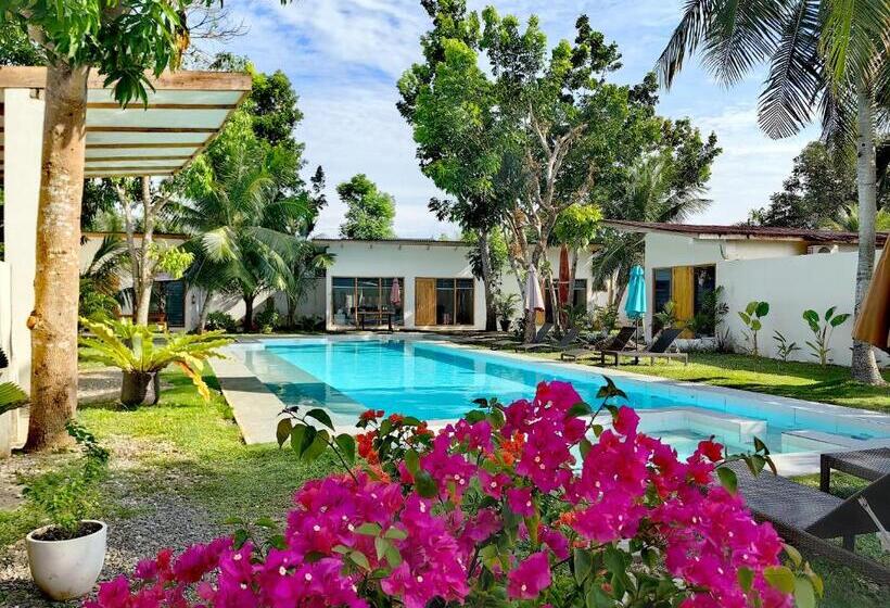 اتاق خانوادگی, Island World Panglao