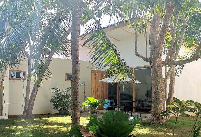 패밀리 룸, Island World Panglao