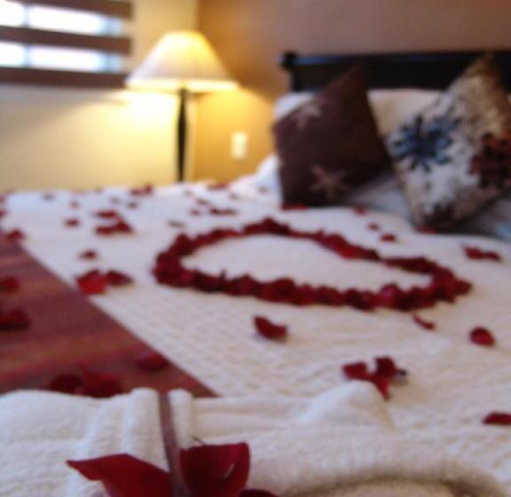 اتاق سوپریور با تخت بزرگ, Casa Del Tio Hotel Boutique