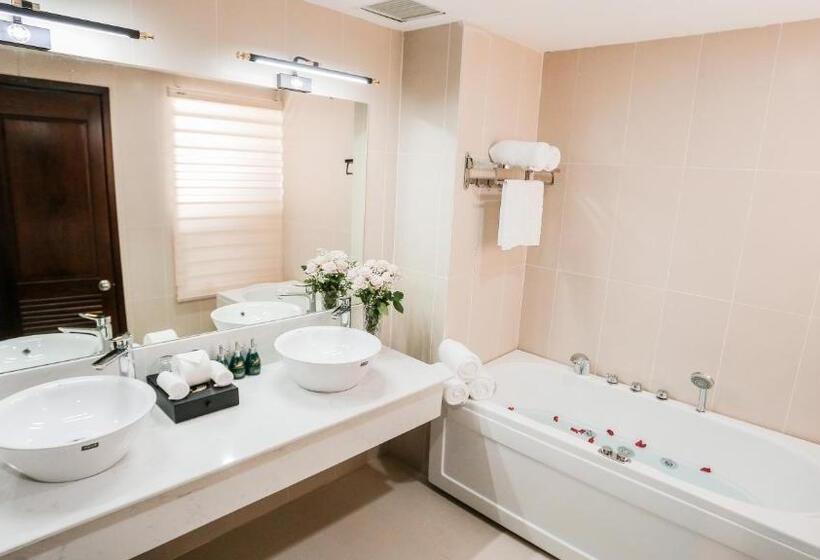 اتاق لوکس, Elephants