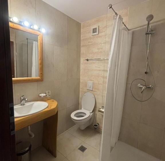 バルコニー付きスタンダードルーム, Pensiunea Rancaski