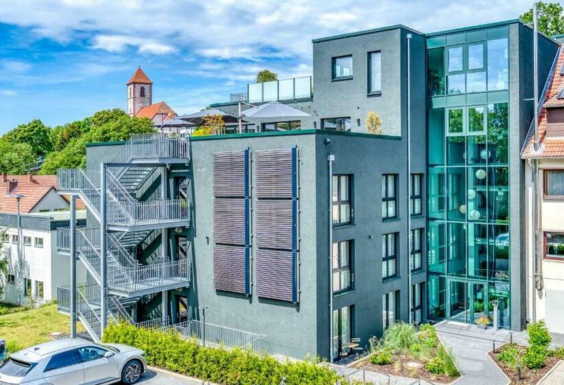 标准单人间, Beckmann