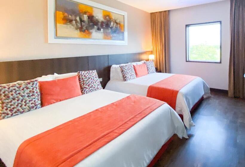 高级大房间, Royal Elim International