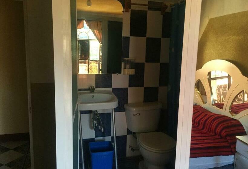 اتاق لوکس یک تخته, Amigo