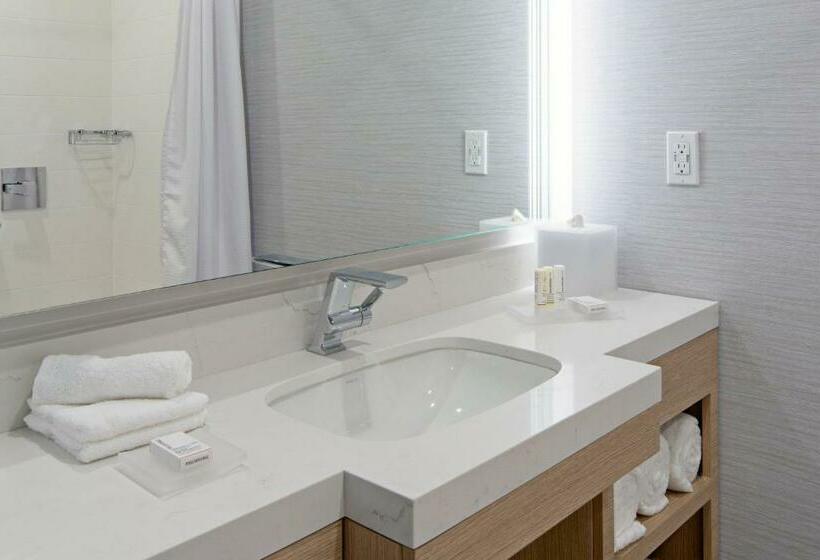 Sviitti King-vuode, Springhill Suites By Marriott Valencia