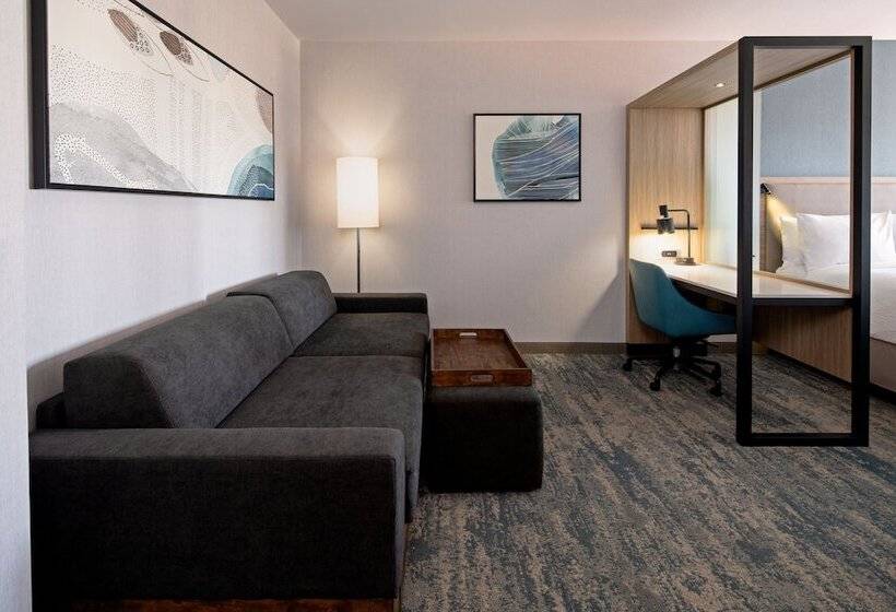 Sviitti, Springhill Suites By Marriott Valencia