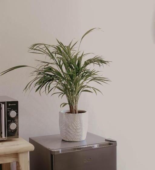 غرفة قياسية, Villa Rose Guesthouse & Venue