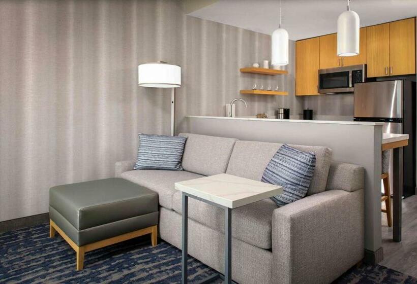 Студия Стандарт Кровать Куин, Residence Inn By Marriott Jekyll Island