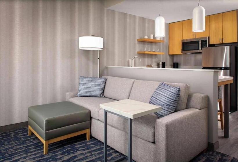 Standard Studio Kingsize Seng, Residence Inn By Marriott Jekyll Island