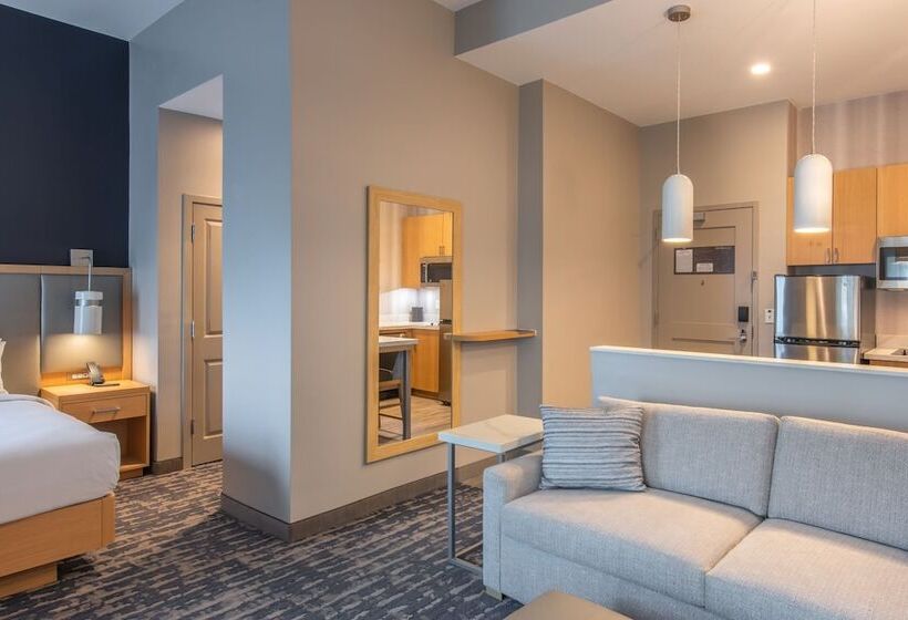 Standard Studio m. udsigt, Residence Inn By Marriott Jekyll Island