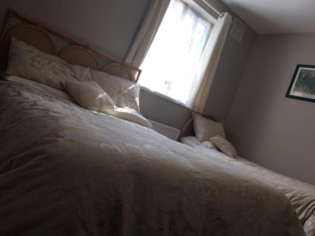 스탠다드 룸, Coolalingo B&b