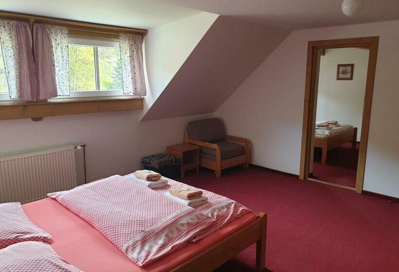 חדר סטנדרט לארבעה, Penzion Marienka