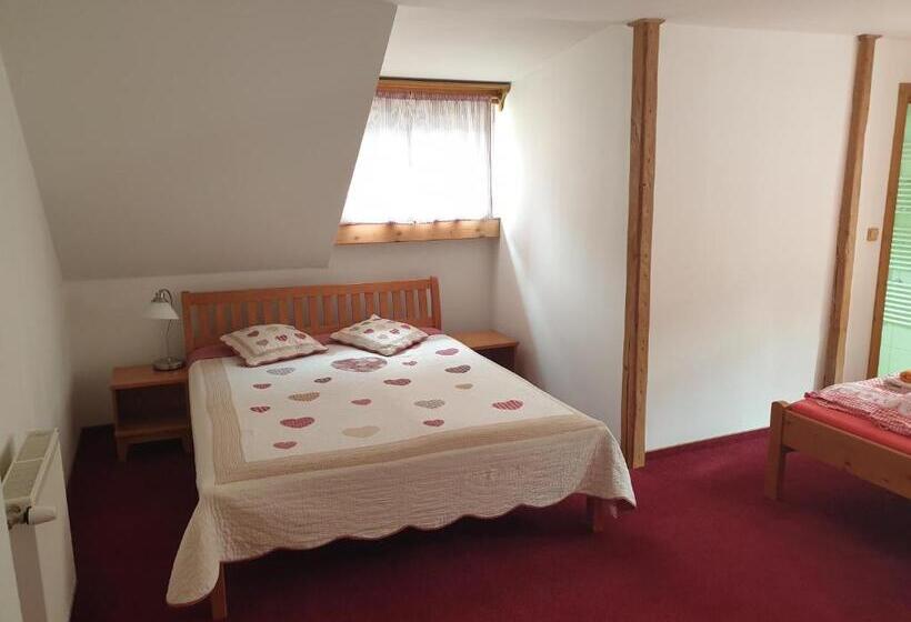 חדר סטנדרט לארבעה, Penzion Marienka