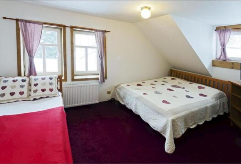 חדר קומפורט לשלושה, Penzion Marienka