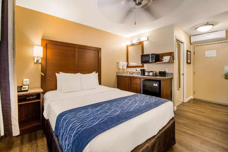 سوئیت جونیور با تخت بزرگ, Krystal Grand® Nuevo Vallarta