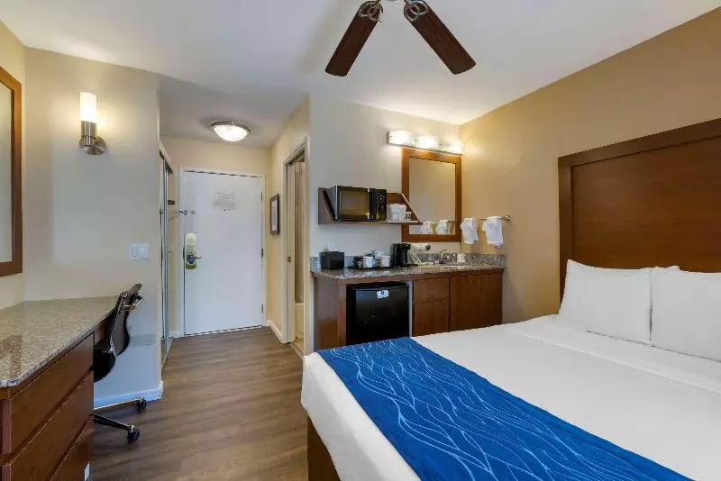 سوئیت جونیور با تخت بزرگ, Krystal Grand® Nuevo Vallarta