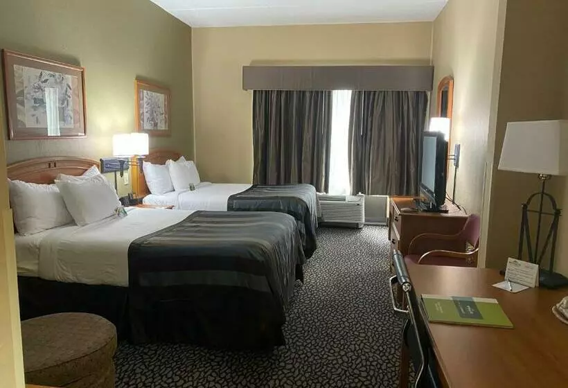 اتاق استاندارد با 2 تخت دوبل, Wingate By Wyndham Little Rock