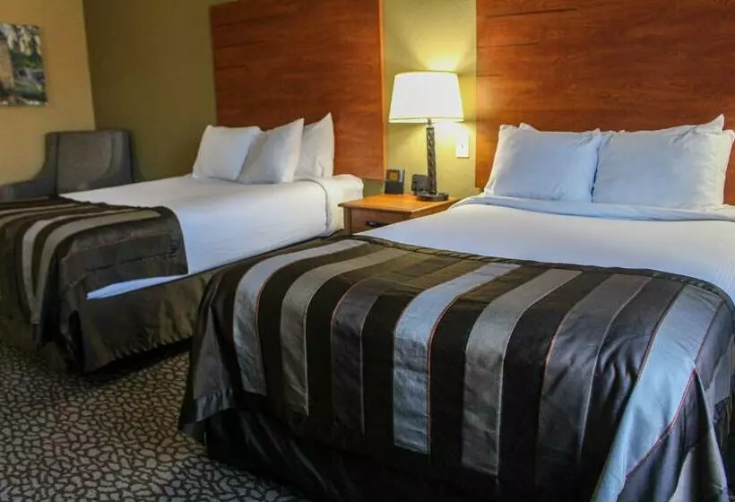 اتاق استاندارد با 2 تخت دوبل, Wingate By Wyndham Little Rock
