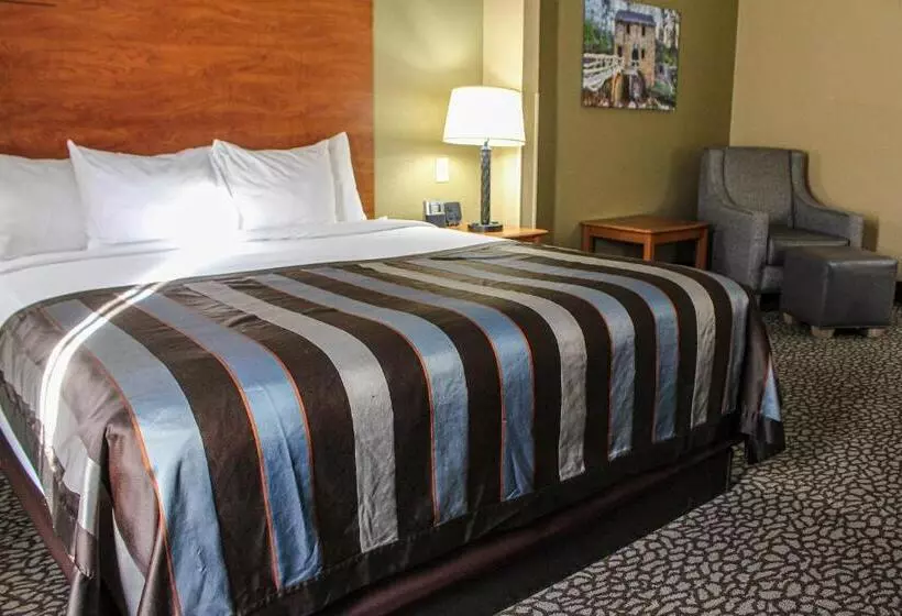 اتاق استاندارد با تخت بزرگ, Wingate By Wyndham Little Rock