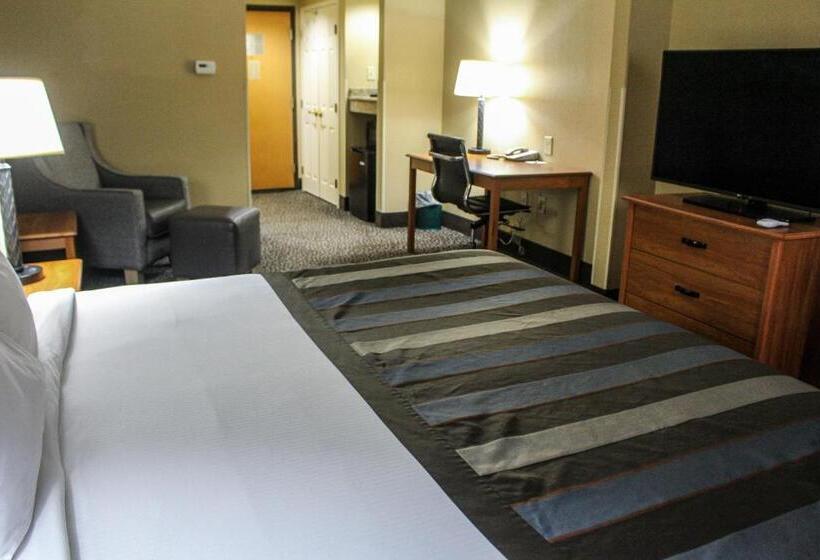 带大床的标准间, Wingate By Wyndham Little Rock