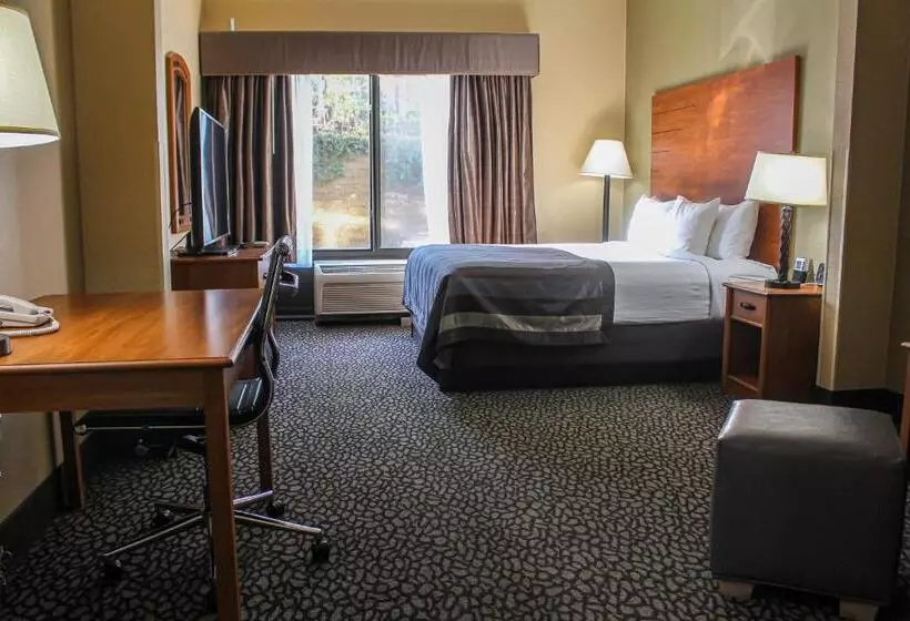اتاق استاندارد با تخت بزرگ, Wingate By Wyndham Little Rock