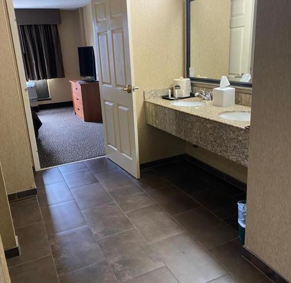스위트 킹사이즈 침대, Wingate By Wyndham Little Rock