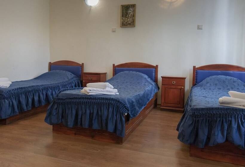 Номер Стандарт Трехместный, Medic Hotel