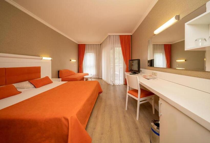 اتاق استاندارد سه نفره, Sueno Hotels Beach Side