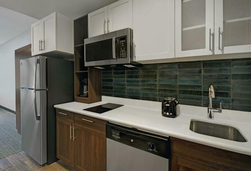 스탠다드 스튜디오 킹침대, Holiday Inn Express Houston Galleria Area By Ihg