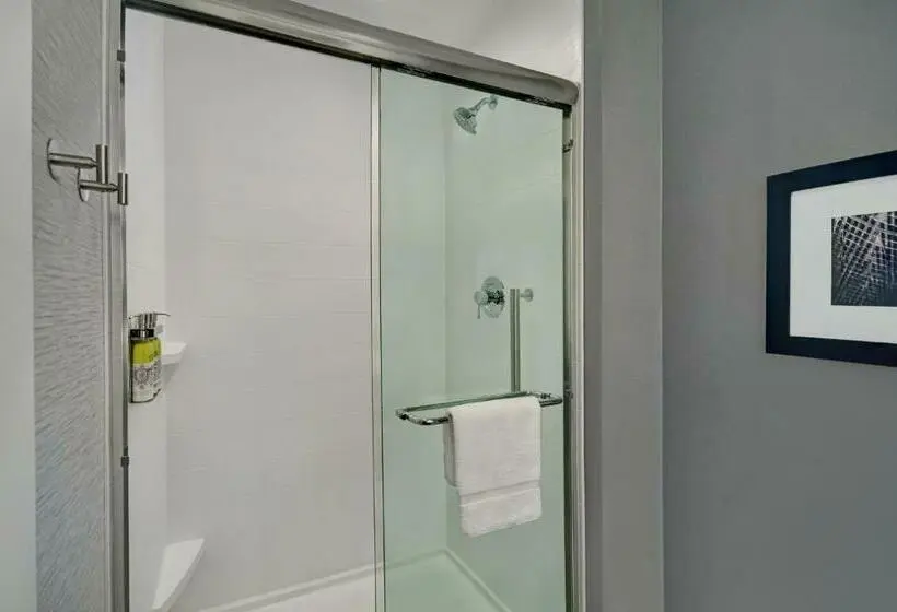 キングサイドベッドのスタンダードワンルーム, Holiday Inn Express Houston Galleria Area By Ihg