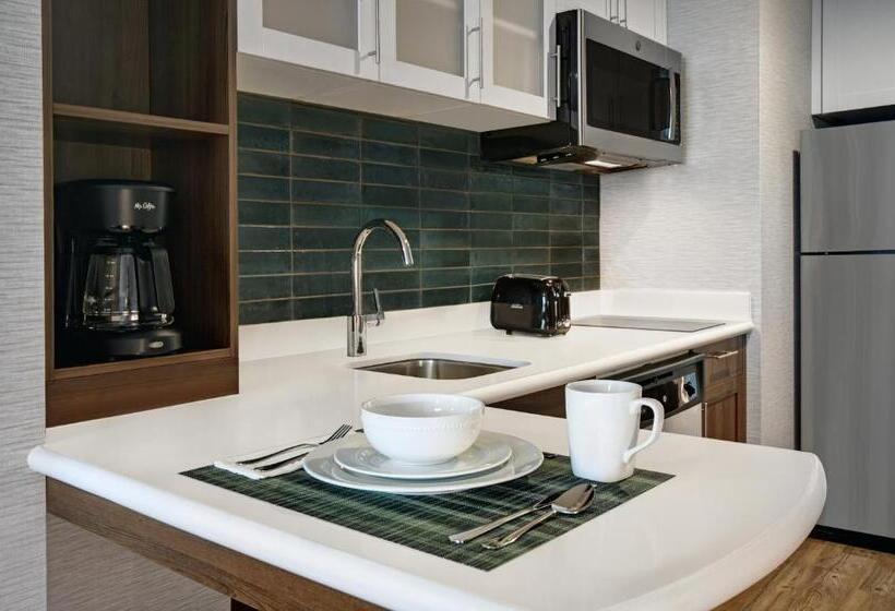 스탠다드 룸, Holiday Inn Express Houston Galleria Area By Ihg