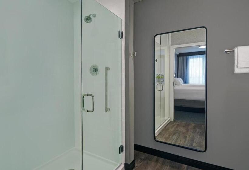 스탠다드 룸, Holiday Inn Express Houston Galleria Area By Ihg