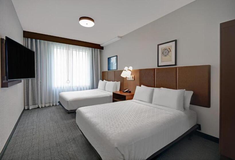 스탠다드 룸, Holiday Inn Express Houston Galleria Area By Ihg