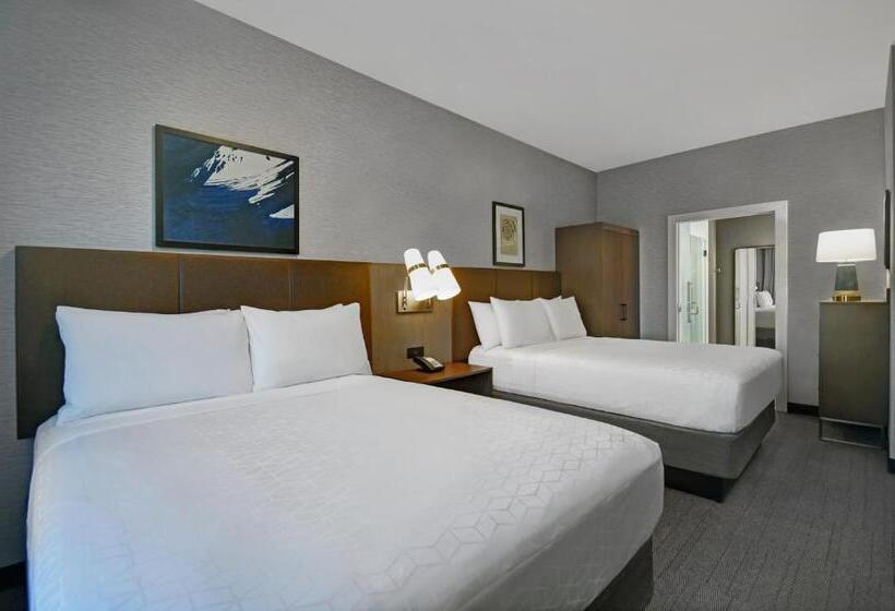 장애인을 위한 스탠다드 룸, Holiday Inn Express Houston Galleria Area By Ihg