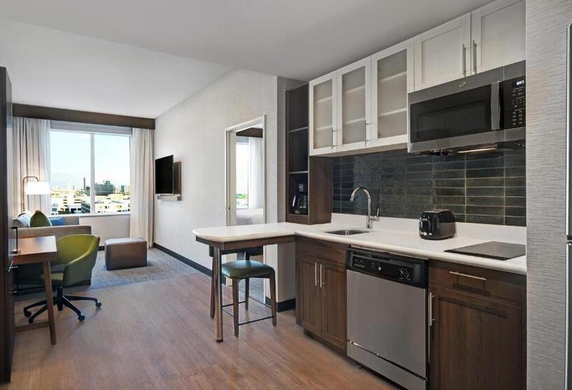 장애인을 위한 스탠다드 룸, Holiday Inn Express Houston Galleria Area By Ihg