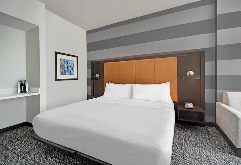 Номер Стандарт, Holiday Inn Express Houston   Galleria Area By Ihg