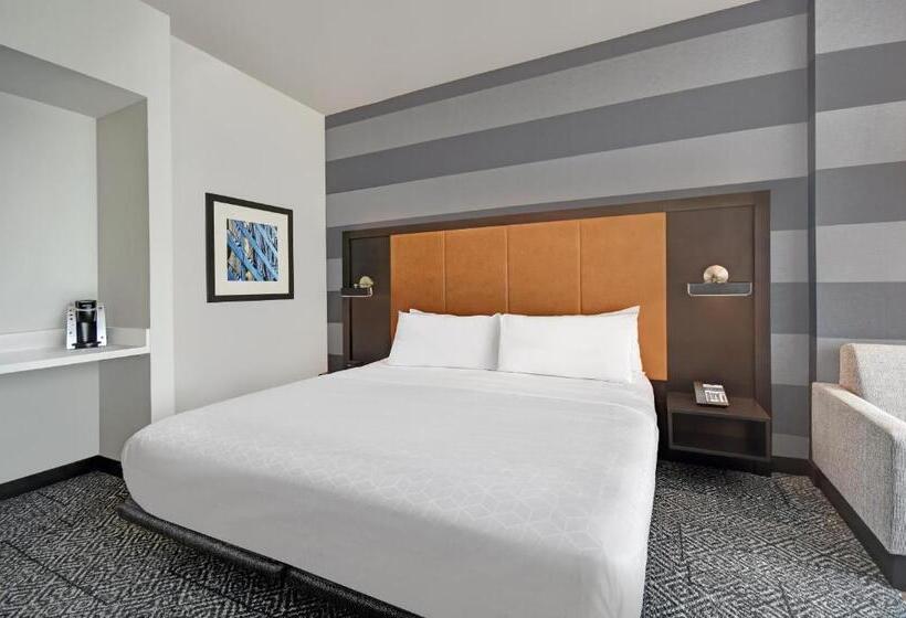 Номер Стандарт, Holiday Inn Express Houston   Galleria Area By Ihg