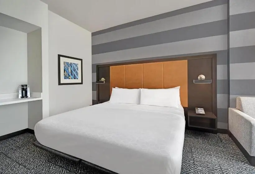 スタンダードルーム, Holiday Inn Express Houston Galleria Area By Ihg