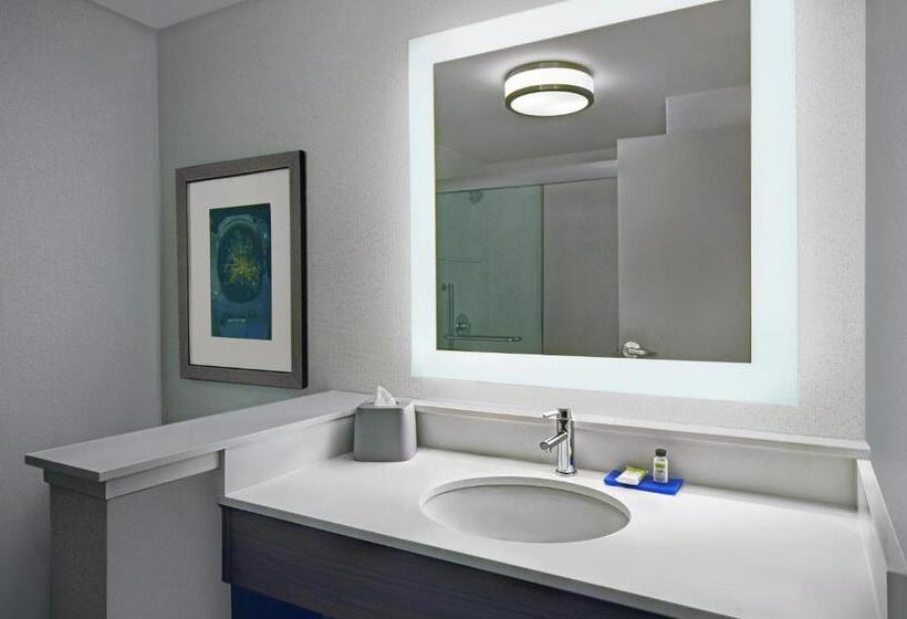 스위트 킹사이즈 침대, Holiday Inn Express Houston Galleria Area By Ihg